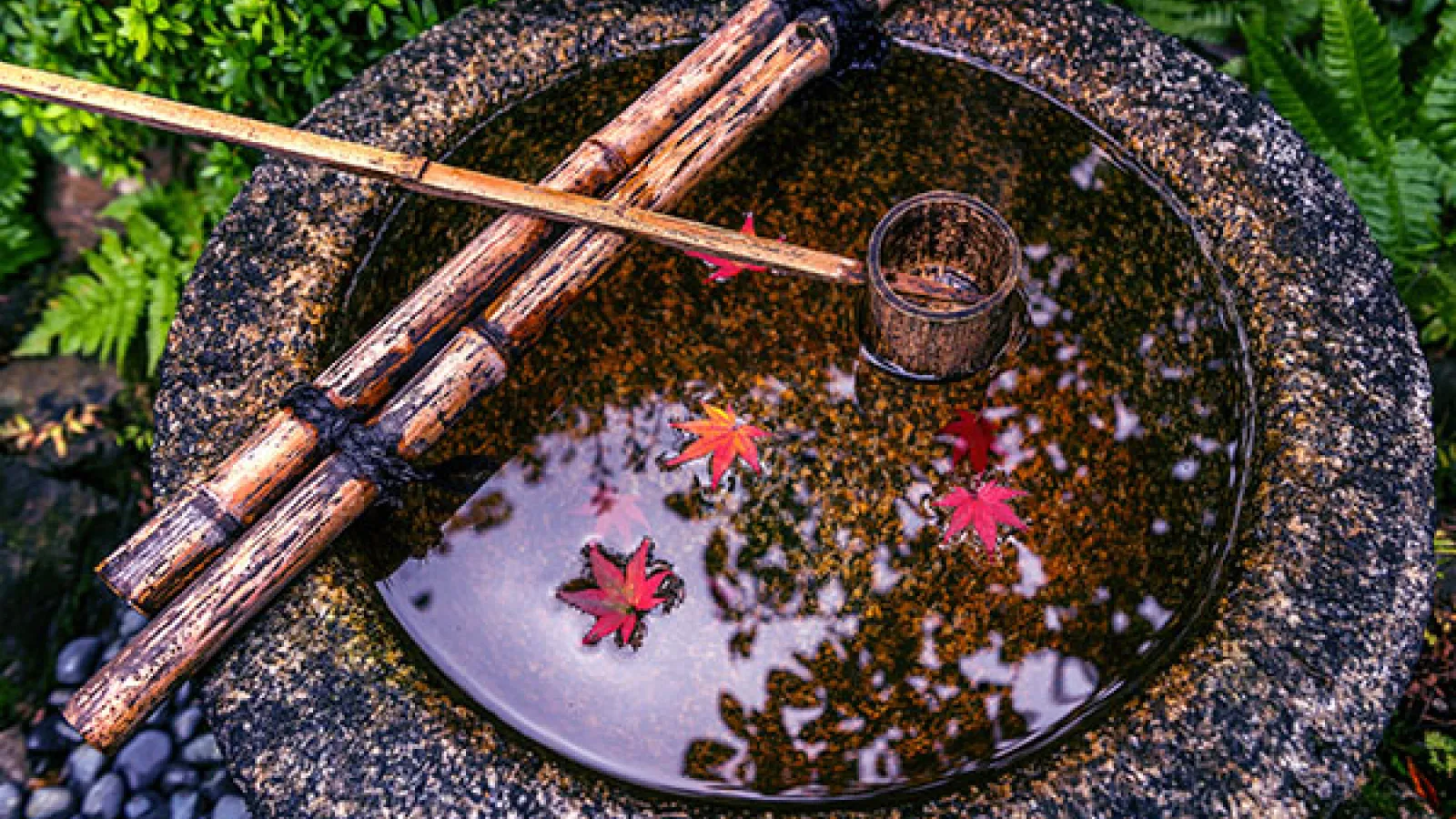 Tsukubai with autumn leaves