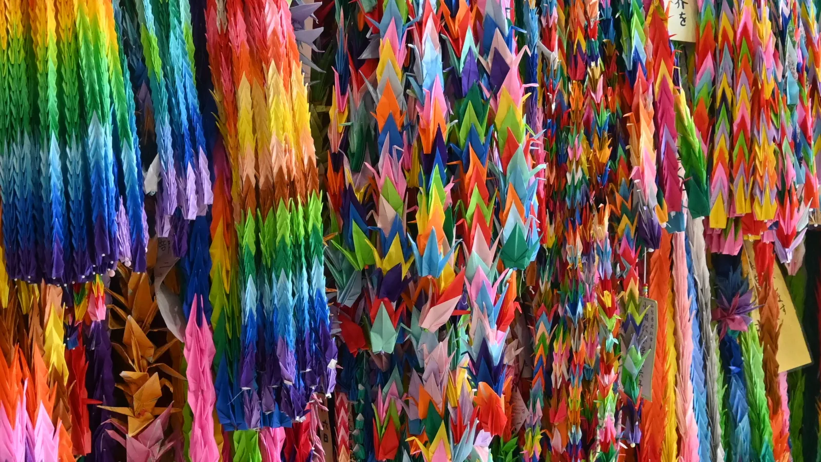 origami cranes of various colors in strings of 1000