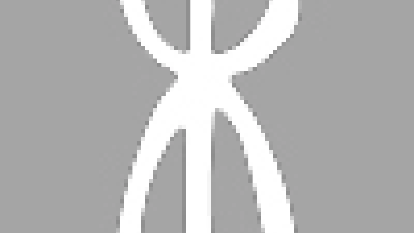 IJS logo